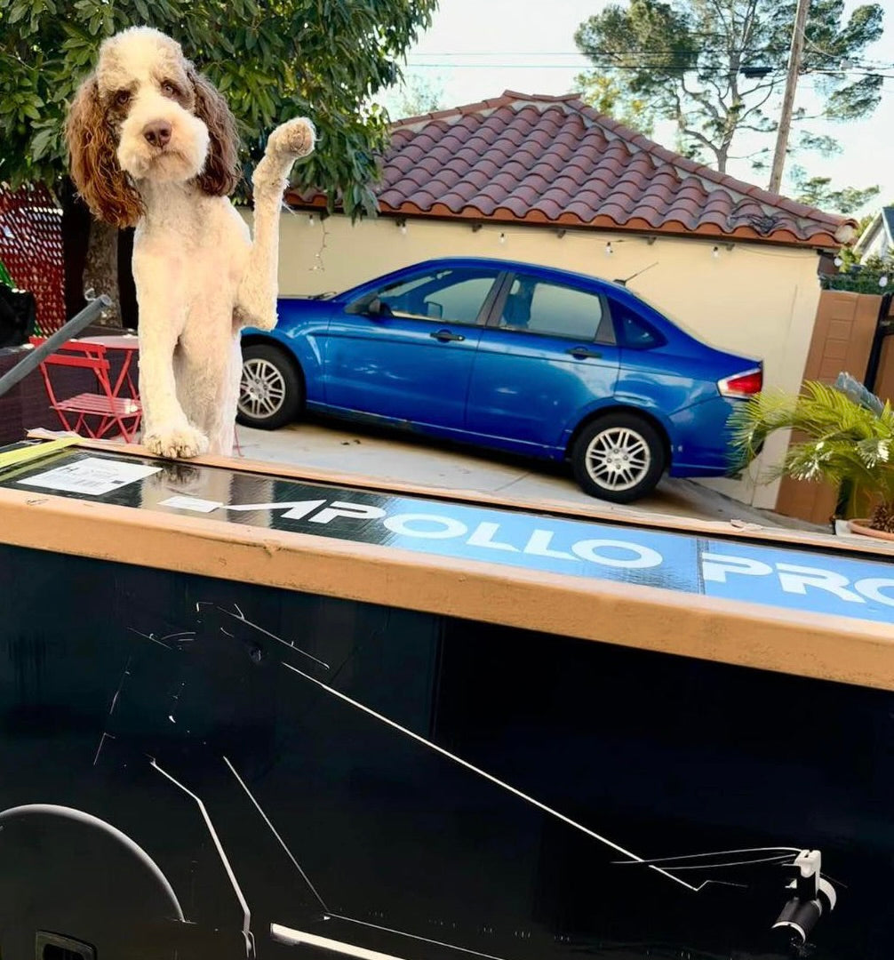 Car vs. Electric Scooter: Which one is better for commuting?