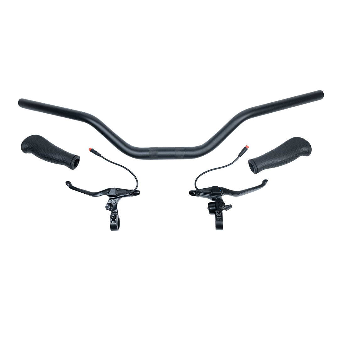 Black dual function throttle with handlebars displayed.