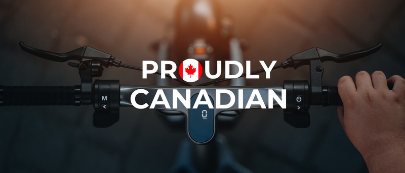 Apollo Go Electric Scooter: The Future of Urban Mobility