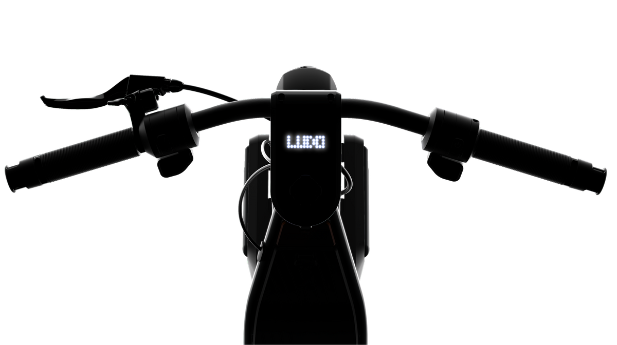 Ludo Mode