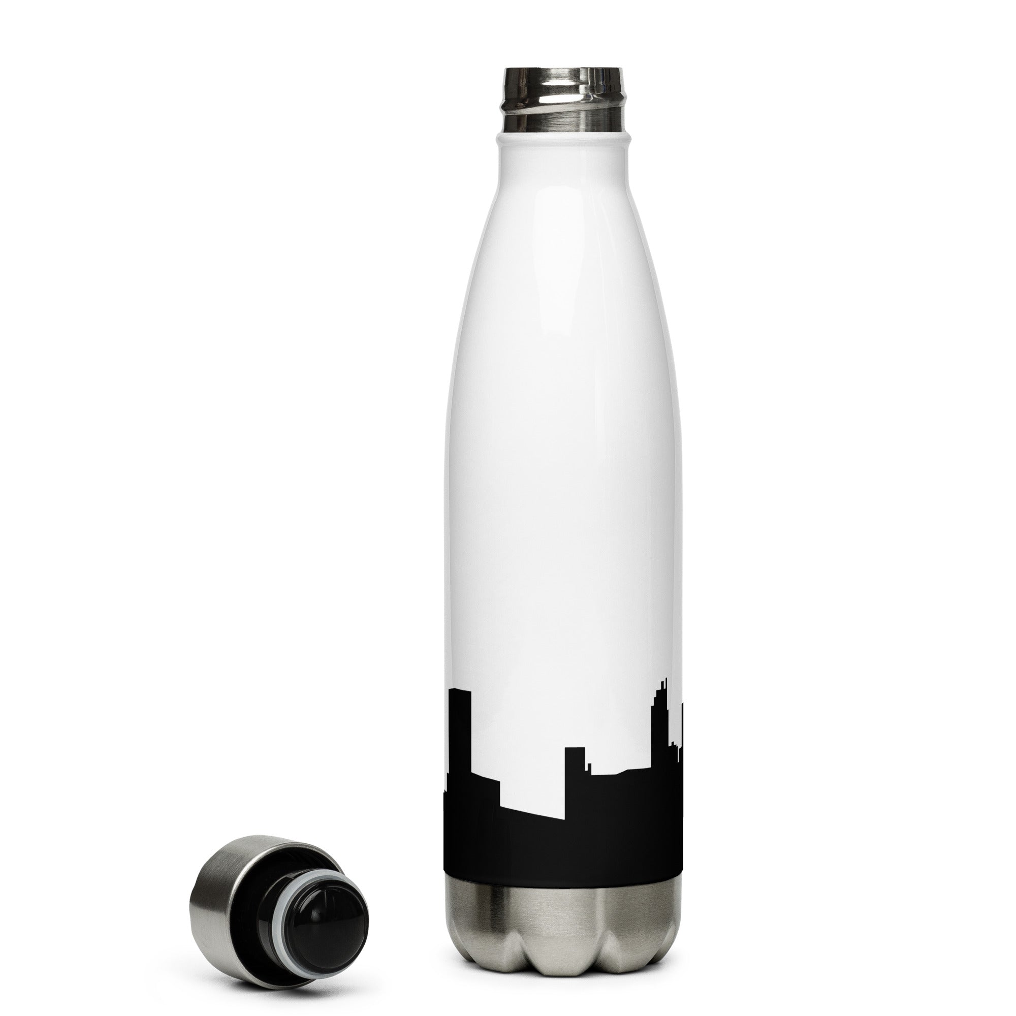 Apollo skyline stainless steel water bottle