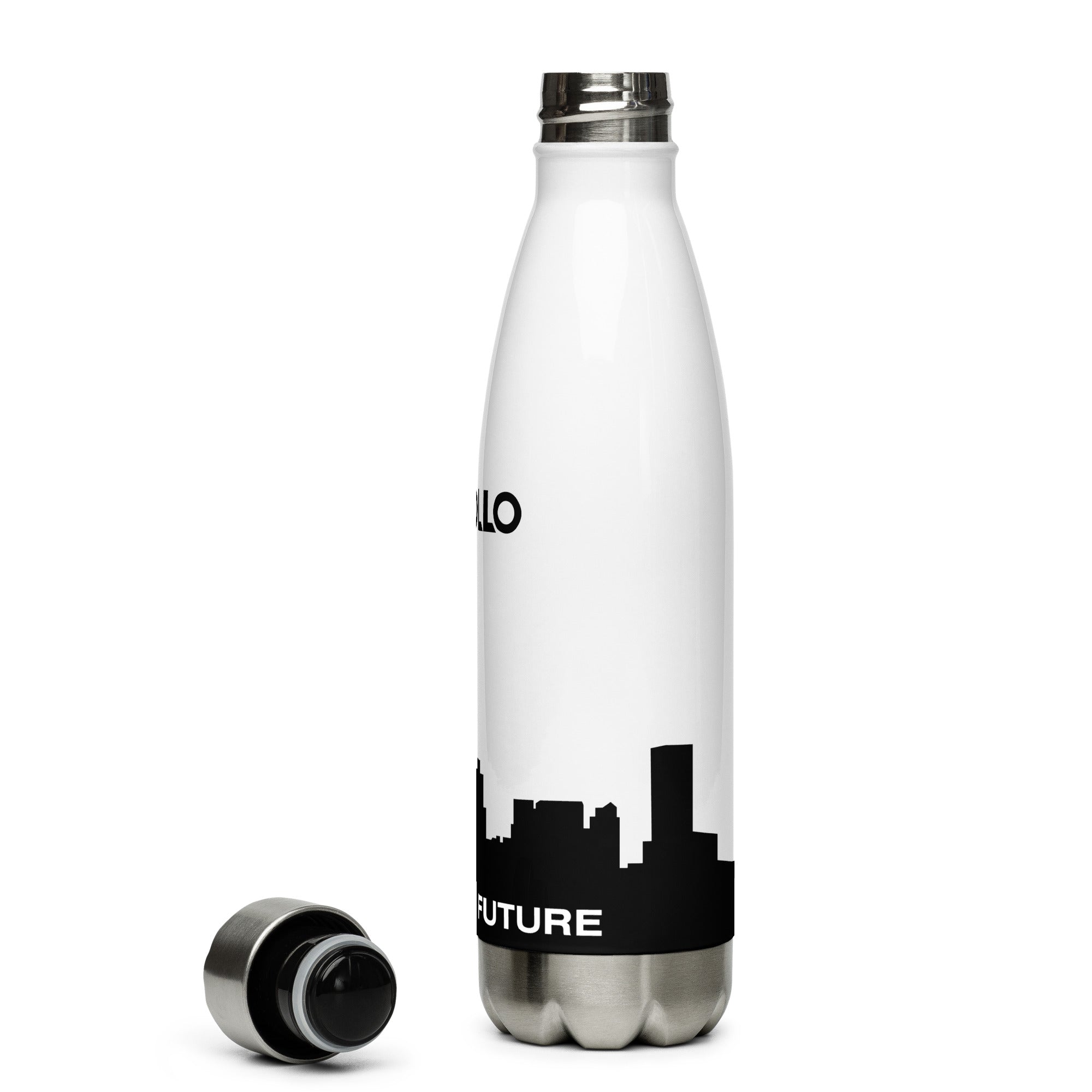 Apollo skyline stainless steel water bottle